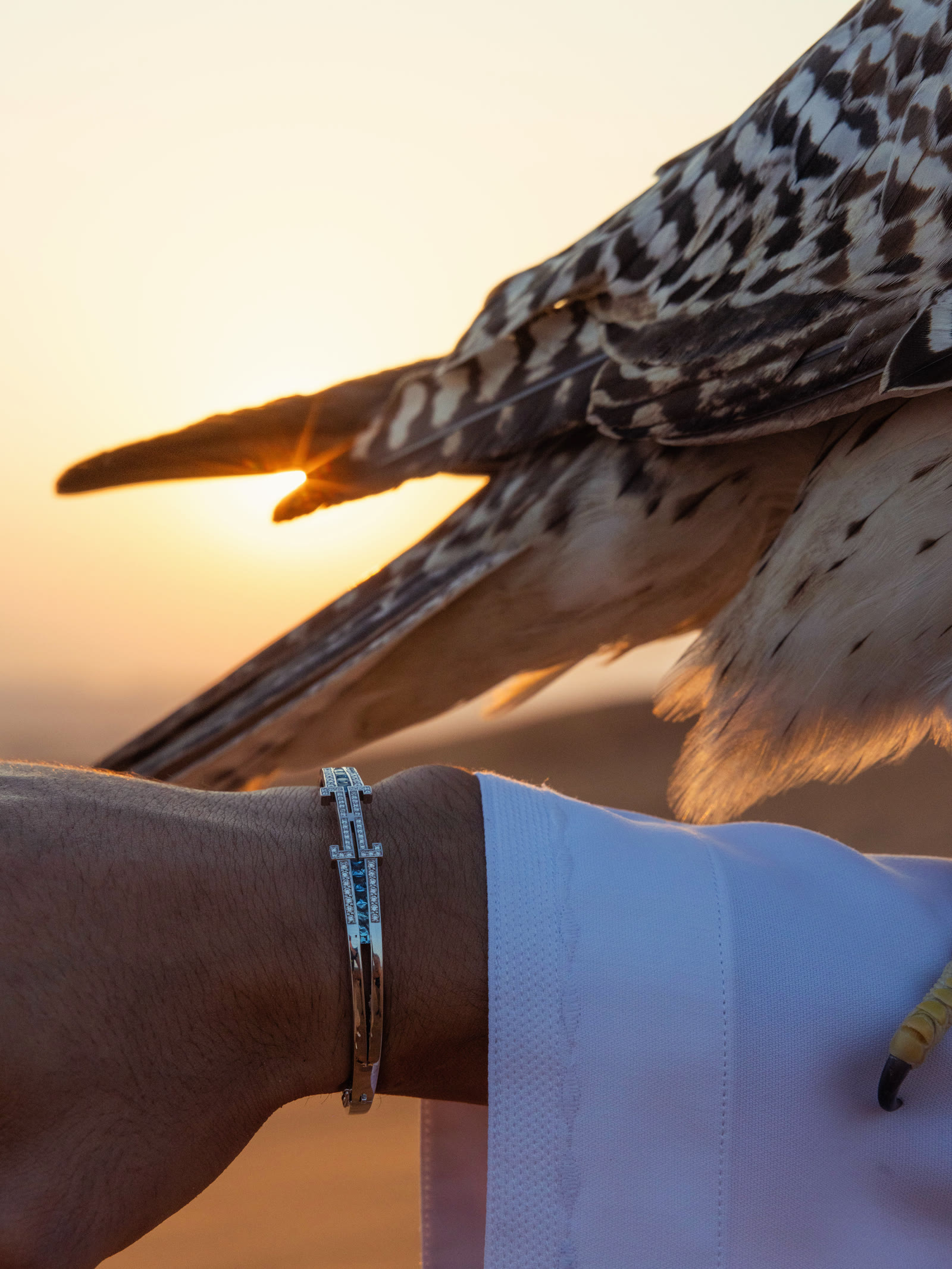 Le Bracelet Éternel au poignet, un faucon posé sur l'avant-bras, au couchant dans le désert.